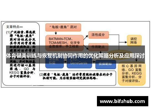 体育健美训练与恢复机制协同作用的优化策略分析及应用探讨